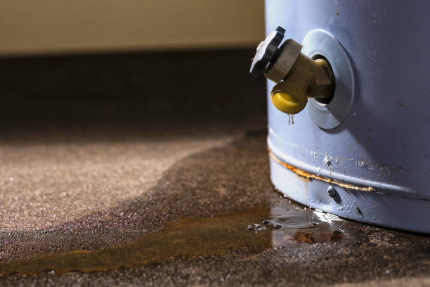 Best Residential water damage restoration  in Genesee, CO