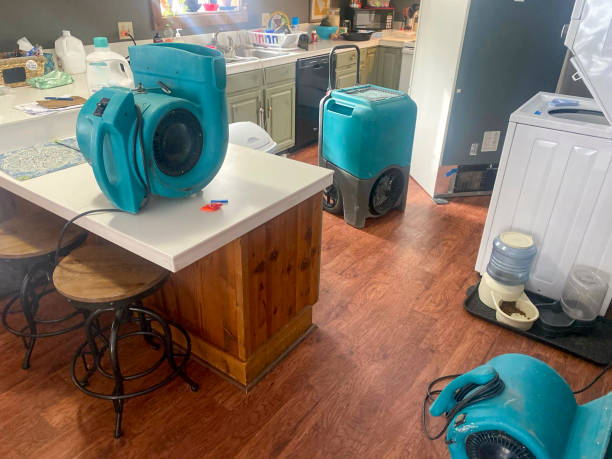Best 24/7 water damage repair  in Genesee, CO