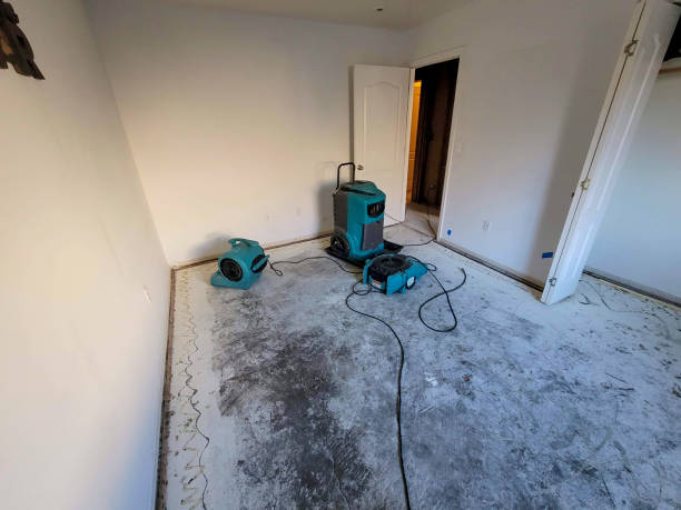 Best Water damage restoration near me  in Genesee, CO
