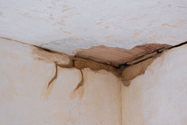 Best Flood restoration services  in Genesee, CO