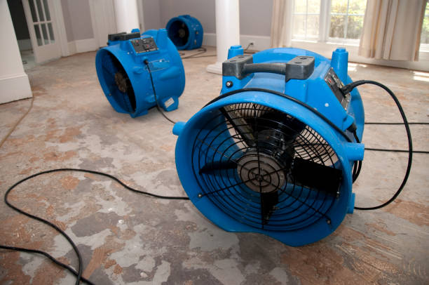 , CO Water damage restoration Company