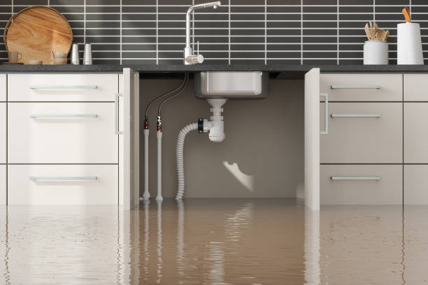 Water damage restoration mold remediation in CO