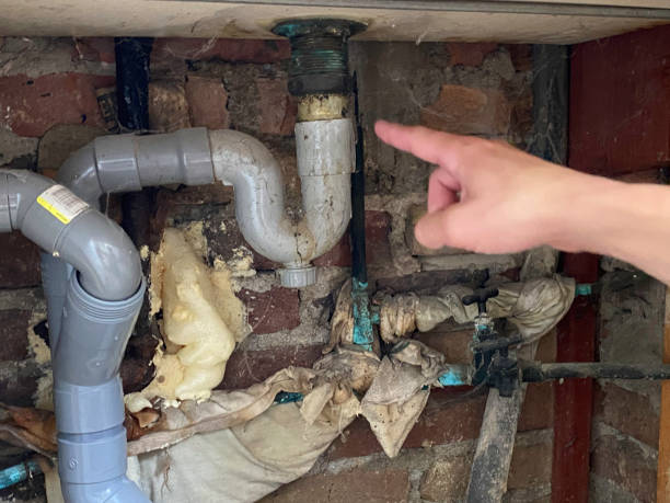 Best Commercial water damage restoration  in Genesee, CO