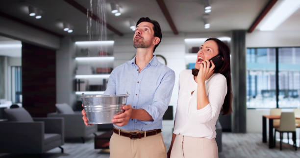 Best 24-hour water damage restoration  in Genesee, CO