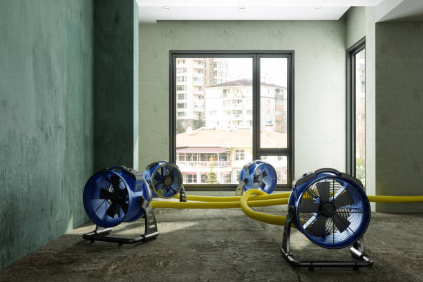 Best Emergency water damage restoration  in Genesee, CO