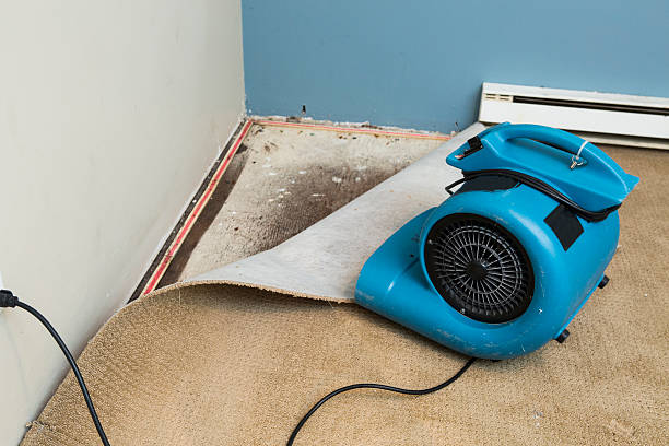  Genesee, CO Water damage restoration Pros